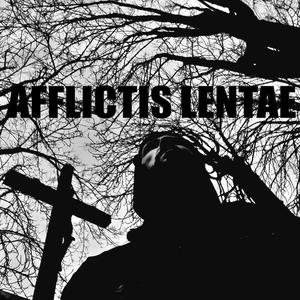 ANIMALS COME OUT AT NIGHT (feat. Pâlefroid)