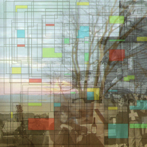 The Social, Ethical And Economic Aspects Of Genetic Engineering