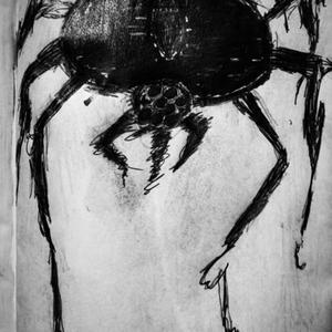 the infinite starless dark