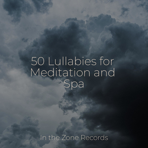 Lakeside Tranquility