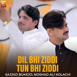 Dil Bhi Ziddi Tun Bhi Ziddi