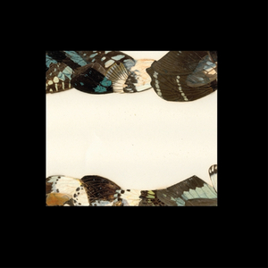 Butterfly Girl (Sten Version)