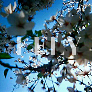 I F L Y