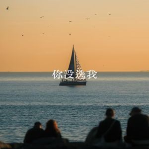 你没选我