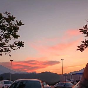 Roses fade (Prod.DIVINE MUSIC)