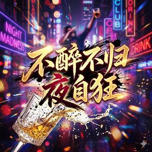 不醉不归夜自狂（夜色揉碎沉默）