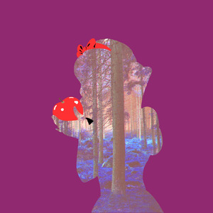 いつか王子様が (映画「白雪姫」より) [Marimba Cover ～ そよ風と小鳥の歌声とともに]