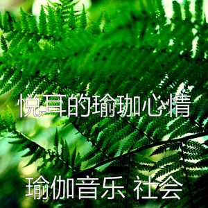 柔和的养生时刻