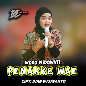 Penakke Wae