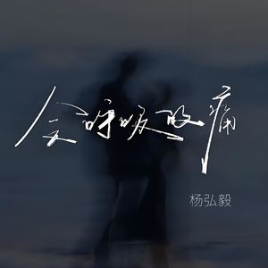 会呼吸的痛 (我发誓不再说谎了 温柔男生版)