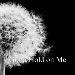 Got a Hold on Me