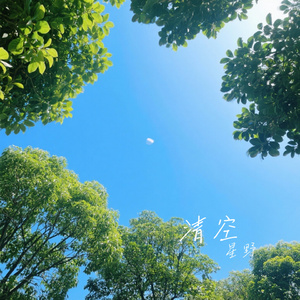 清空（Cover 王忻辰 & 苏星婕）