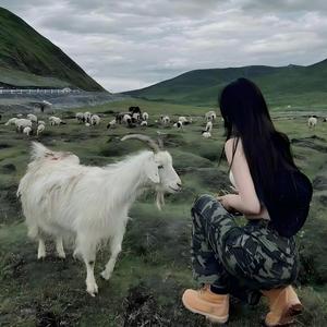 你是人间布洛芬 (DJ版)