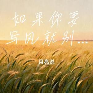 如果你要写风就别只写风 (月亮说 Remix)