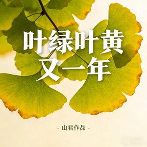 叶绿叶黄又一年