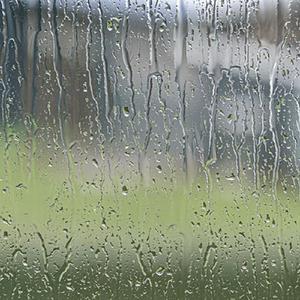 雨停了（The rain left off at daybreak）