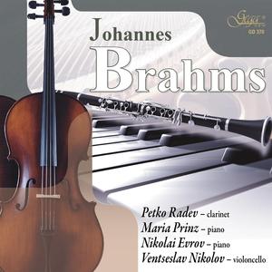 Sonata No. 1 in F minor for Clarinet and Piano, Op. 120: Allegro appassionato