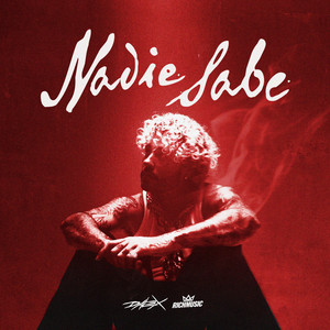 Nadie Sabe