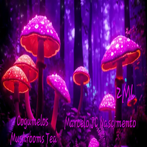 Cogumelos (Mushrooms Tea)