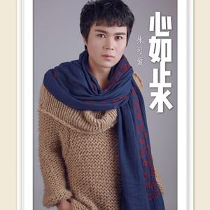 心如止水 (抖音版)