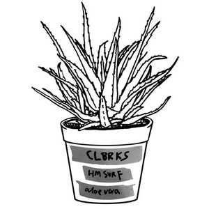 ✿ ［ＡＰＯ＋けｍＳＵＲＦ ｘ ＣＬＢＲＫＳ］ ／／ ＡＬＯＥ＿ＶＥＲＡ ✿