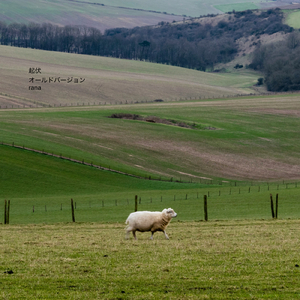 起伏 (old version)