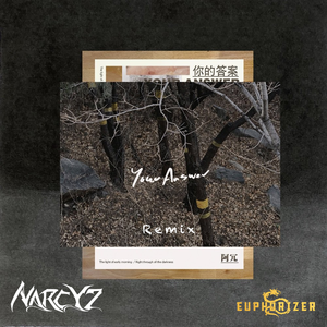 Your Answer(你的答案) (Narcyz & Euphorizer Remix)