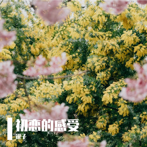 初恋的感受