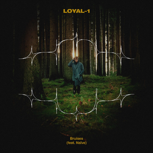 Bruises (feat. Naïve)