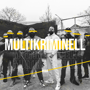 Multikriminell
