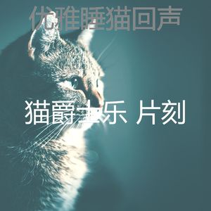 微妙的小猫心情