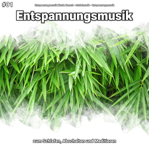 Entspannungsmusik, Pt. 71