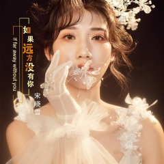 如果远方没有你 (片段)