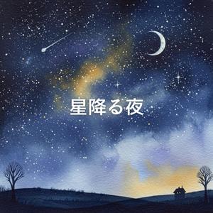 星降る夜