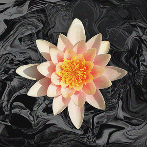 Synchronization (Original Mix)