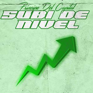 Subi de Nivel