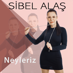 Neyleriz