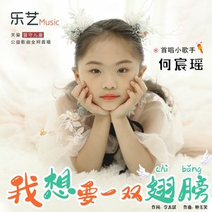 我想要一双翅膀