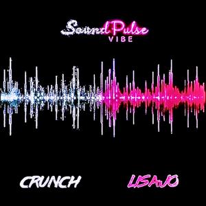 SoundPulse Vibe