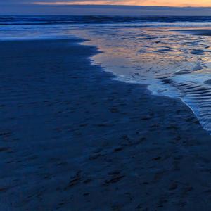 妈妈让我去喂鸭子