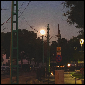 A Life Lived in Love