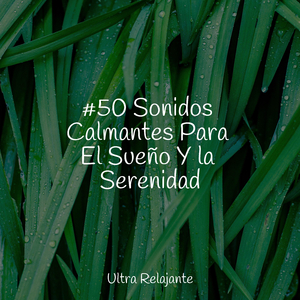 Susurro De Hojas De Primavera