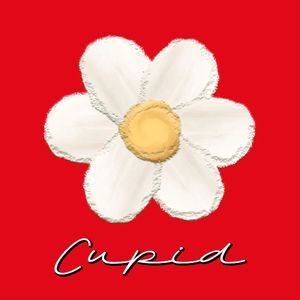 Cupid(Prod by.Rising Beat)