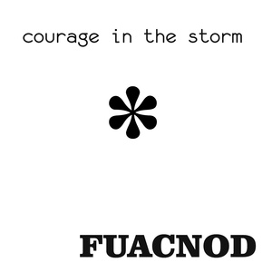 Courage In The Storm