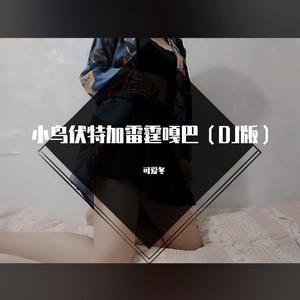 小鸟伏特加雷霆嘎巴（DJ版）