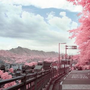 赵老六-春天 风（ERICO remix）