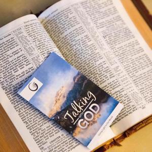 静谧书香 (钢片琴)