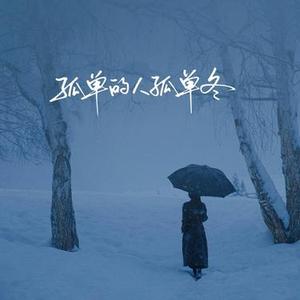 孤单的人孤单的冬 (Cover 沧桑小杰)