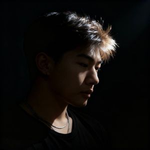 四点海棠花未眠