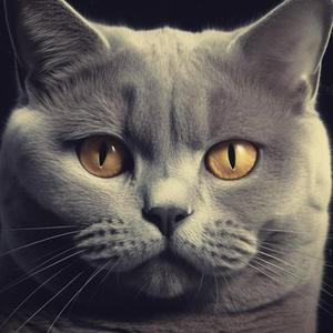 Mi Fai Bene (feat. Dr. Wesh)